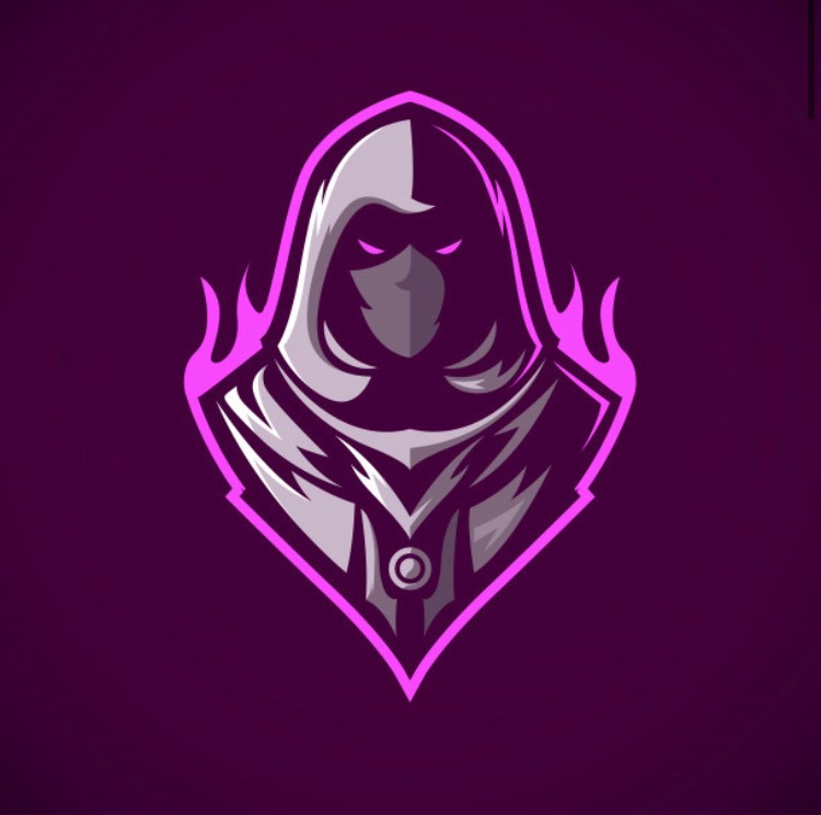 w3cassassin.png